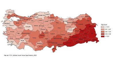 Tüik: Ortalama hanehalkı büyüklüğü 3,14 oldu