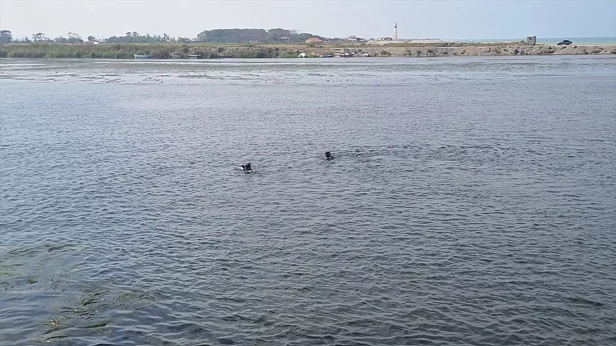 Bafra’da Balıkçı Arama Çalışmalarına Ara Verildi