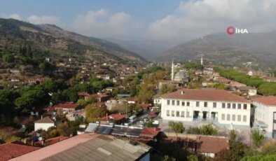 50 Yaşında Hobi, 60 Yaşında Meslek: İpek Böceği Girişimcisi Gülfer Keskin