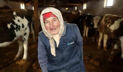 79 Yaşındaki Dilber Nine’nin Hayvancılık Mücadelesi
