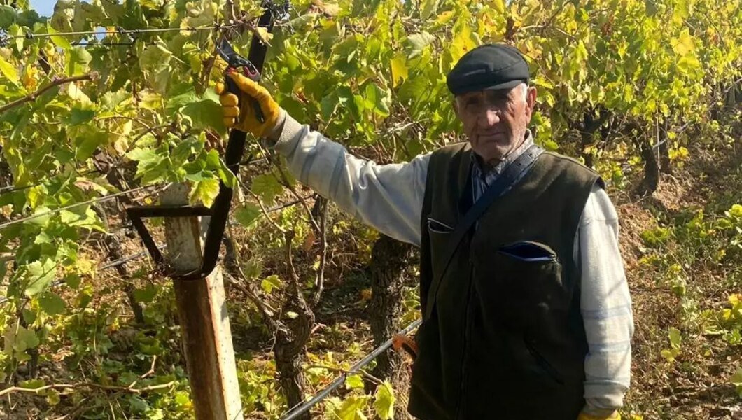 82 Yaşındaki Çetin Aslan, Üzüm Bağlarında Çalışarak Gençlere Örnek Oluyor