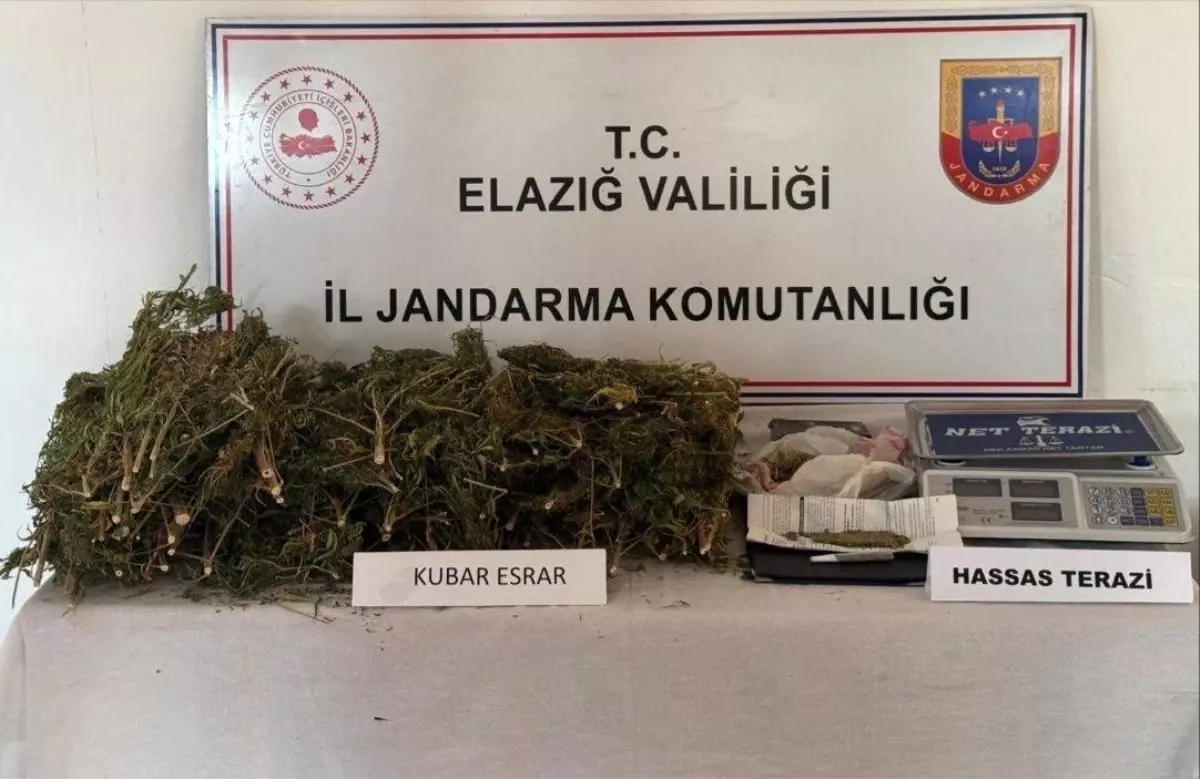 Elazığ’da Esrar Operasyonu: 3 Kilo Ele Geçirildi