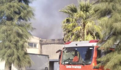 İzmir’de kimya fabrikasında yangın çıktı
