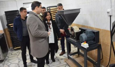 Sason’da Modern Çilek Tesisi Kuruluyor