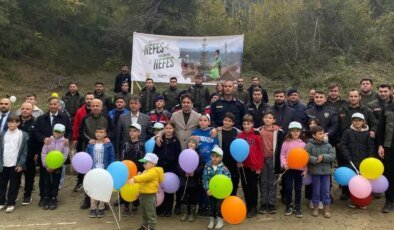 Sinop’ta Fidan Dikim Etkinlikleri