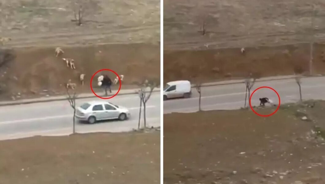 Başkent Ankara’da “İnsanlık ölmüş” dedirten görüntü