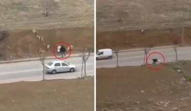 Başkent Ankara’da “İnsanlık ölmüş” dedirten görüntü