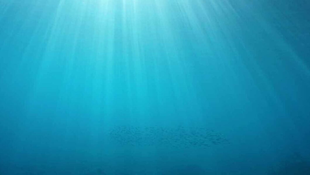 Akdeniz’in derinliklerinde, yüzlerce iri göz: Yeni bir dönemin başlangıcı…