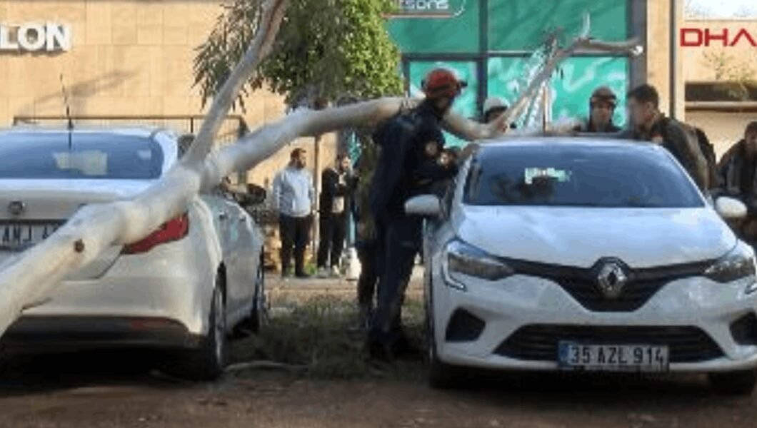 Antalya’da rüzgar şiddeti: Ağaç otomobillerin üzerine devrildi